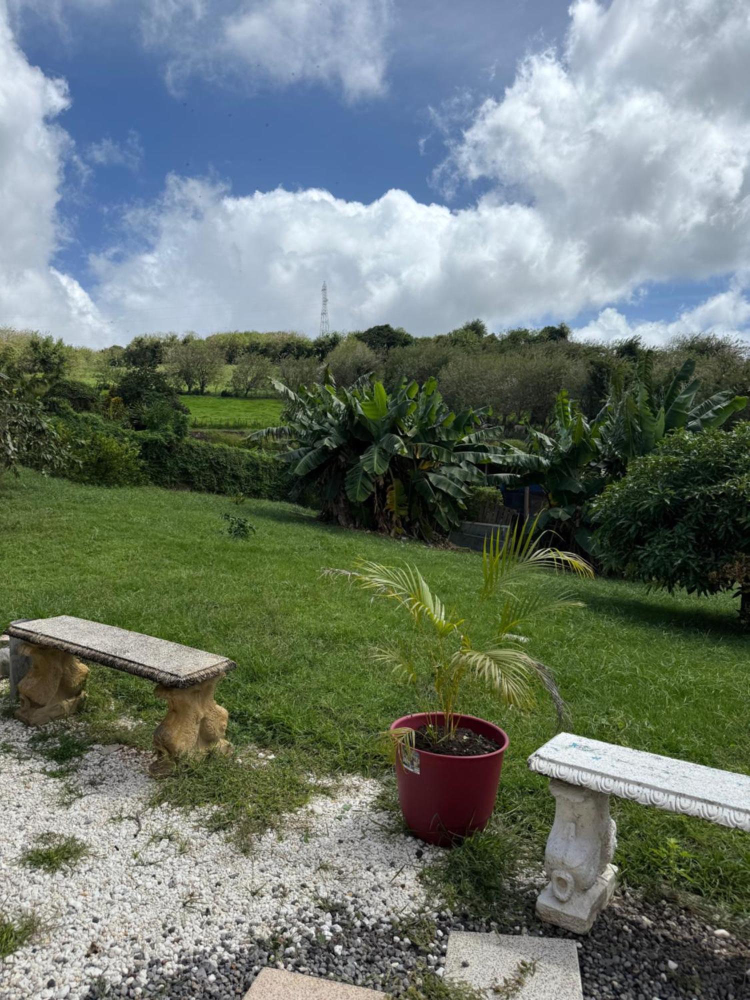 Kelutelo 2 Entre Terre Et Mer Le Carbet Bagian luar foto